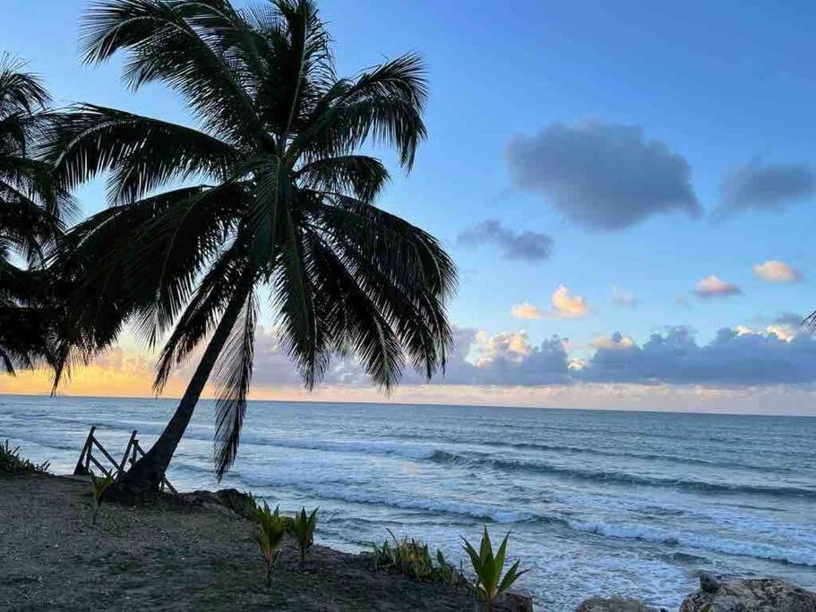 My Dream Beach House Aguada Exterior foto
